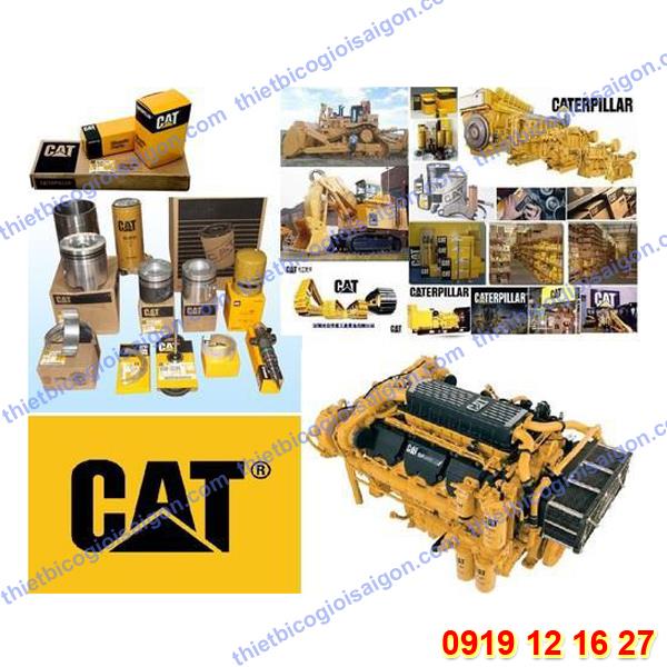 Phụ tùng động cơ Cat, Caterpillar 3066 3116T 33306, C9